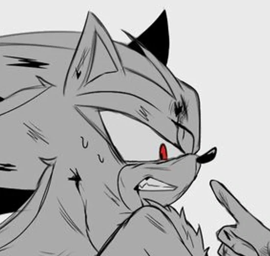 Avatar of Bodyguard Shadow the Hedgehog