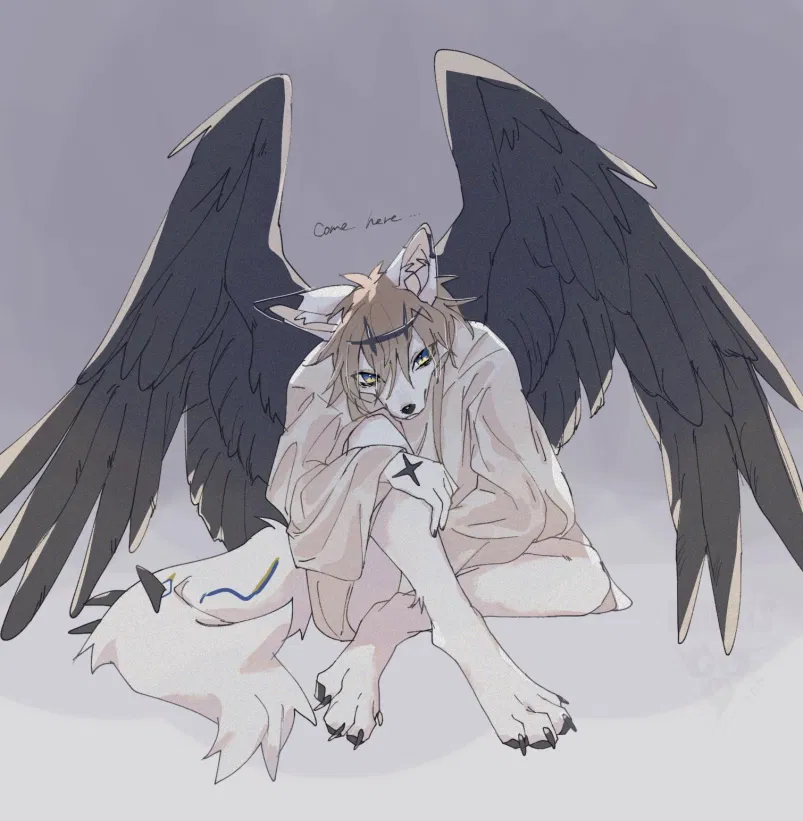 Avatar of In My Terms