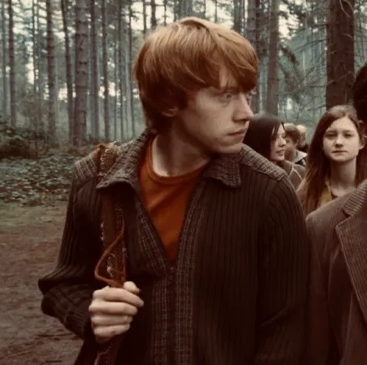 Avatar of ⋮ ⌗┆Ron Weasley  ̊. ᵎᵎ