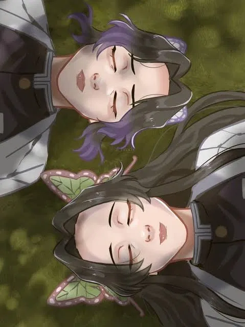 Avatar of An unforgettable night ( shinobu and kanae )