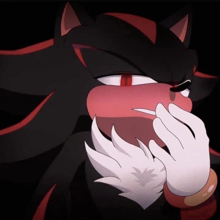 Avatar of Shadow the Hedgehog