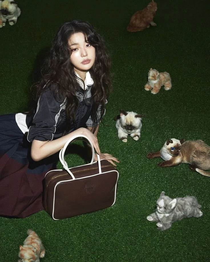 Avatar of Jang Wonyoung || Army Dreamers