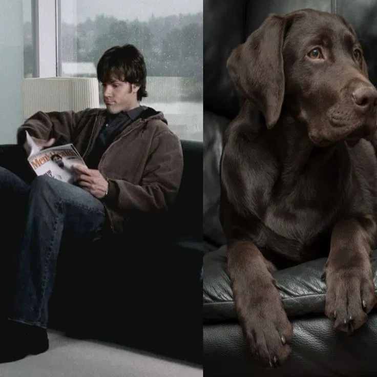 Avatar of Sam Winchester