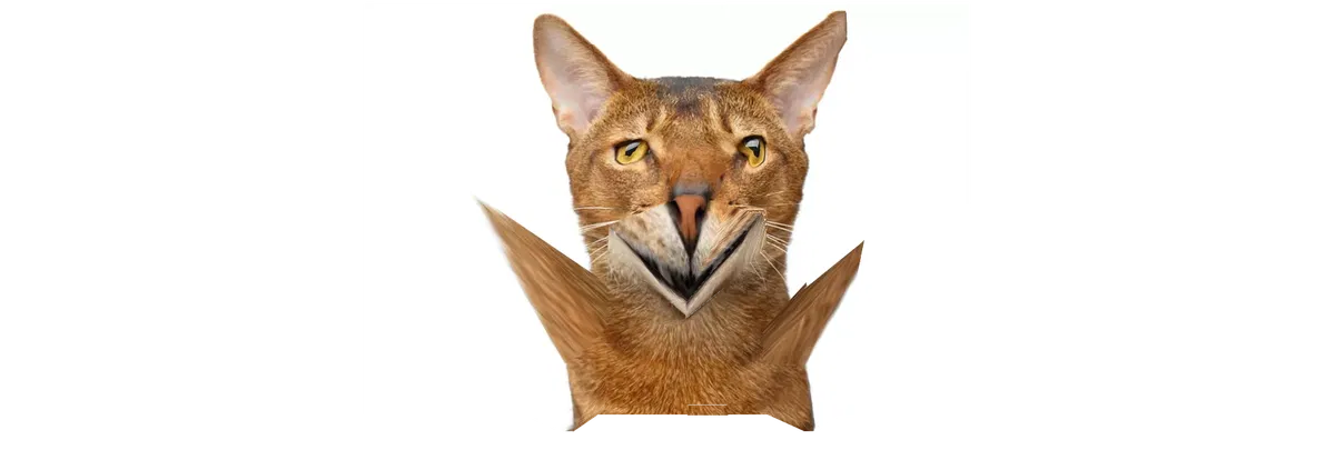 Avatar of cattsermanni