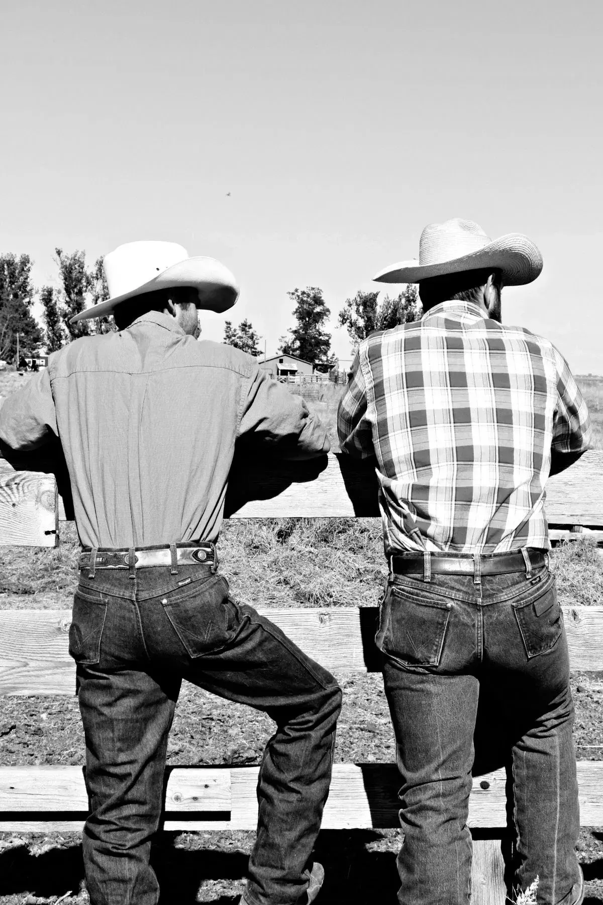 Avatar of COLTER AND BOONE | Divided Attention