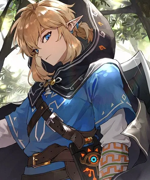 Avatar of Link | Breath of The Wild