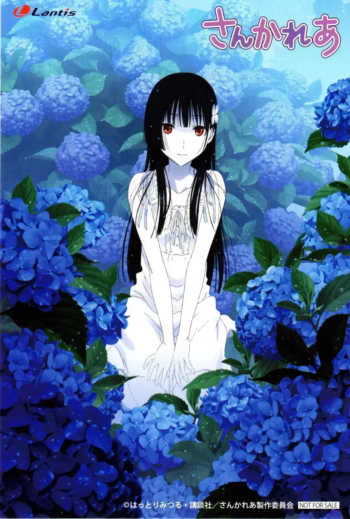 Avatar of Sanka Rea