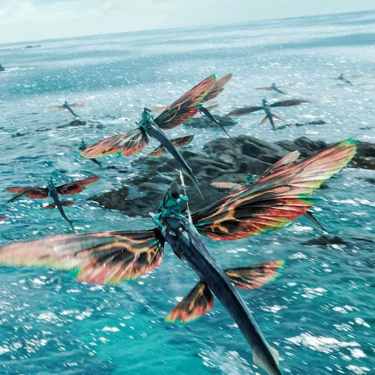 Avatar of The Sully’s arrive at  