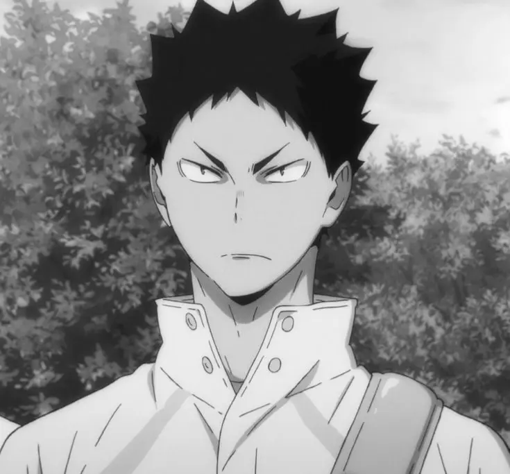 Avatar of IWAIZUMI HAJIME