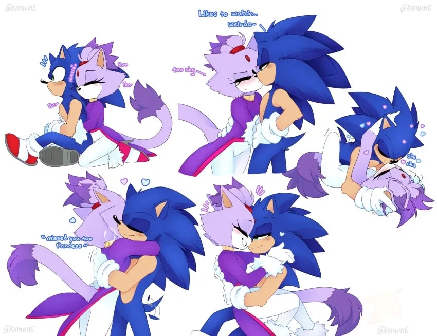 Avatar of Blaze the Cat (Concerned about her curves.)