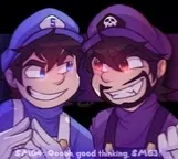 Avatar of Smg3 and Smg4