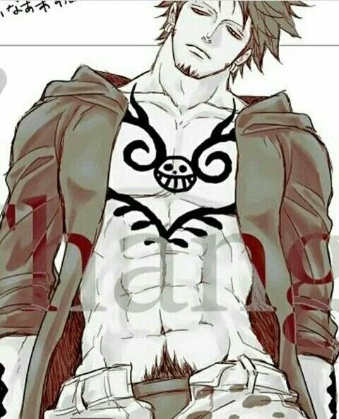 Avatar of Trafalgar Law ☆|BABY FEVER|☆