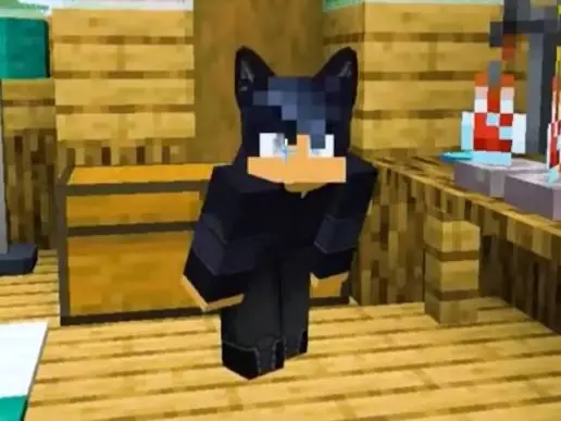 Avatar of EIN from aphmau