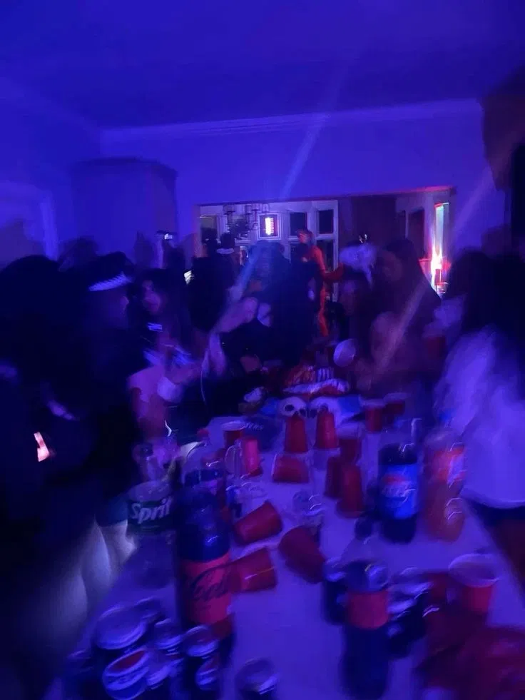 Avatar of House Party