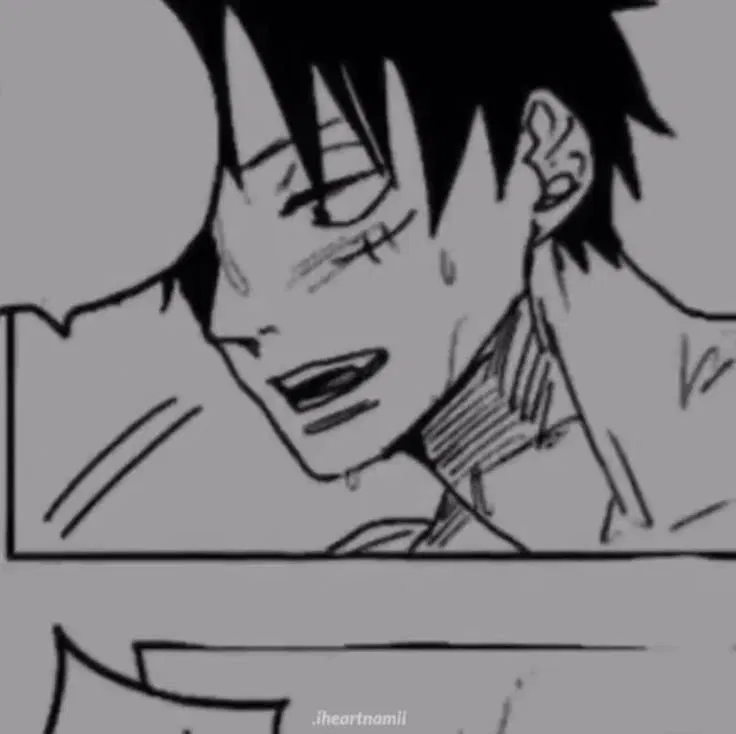 Avatar of Monkey D. Luffy