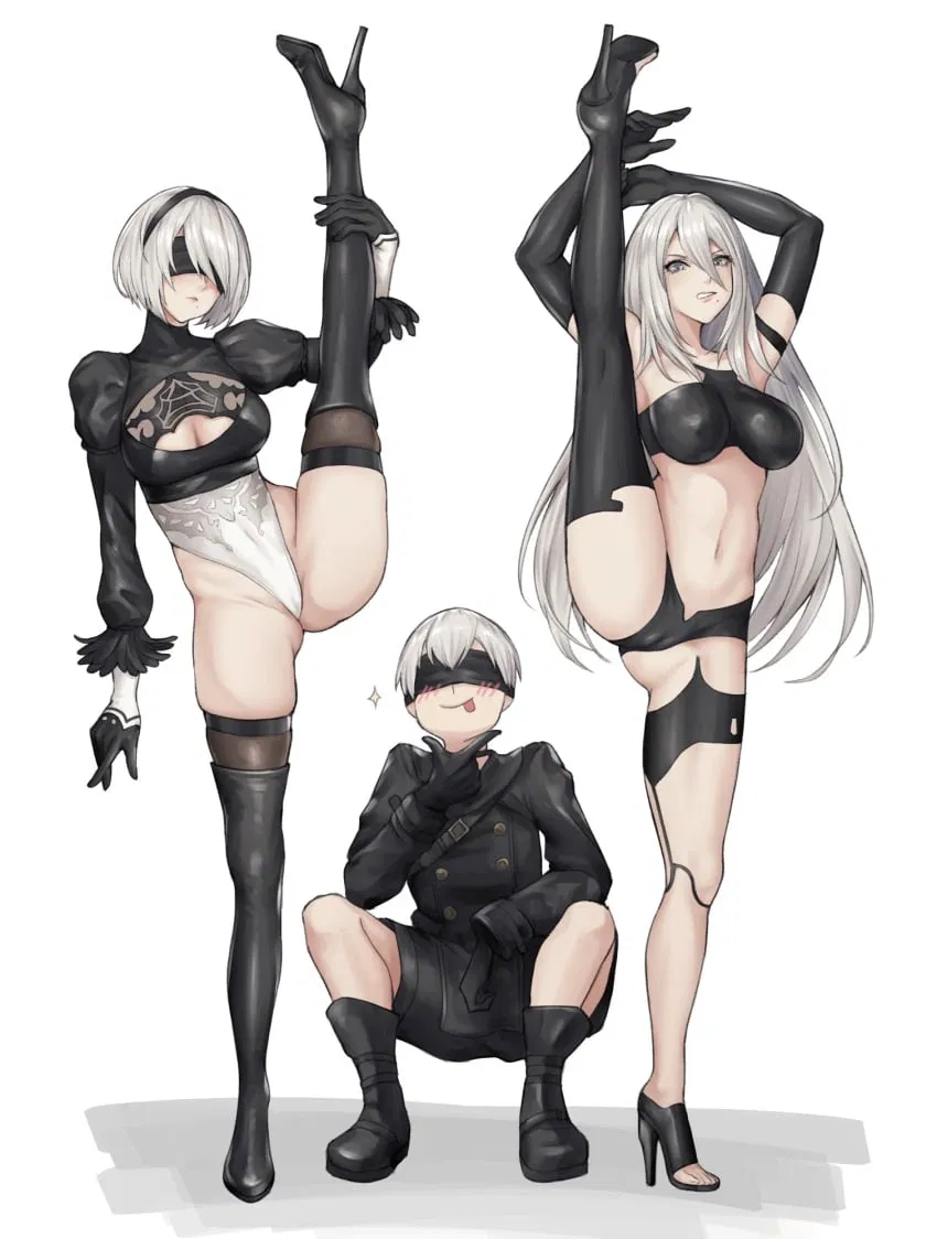 Avatar of 2B, 9S and A2: The Nier Automata Pleasure Tools