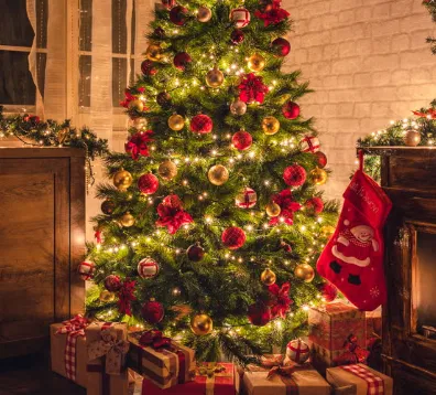 Avatar of Christmas 2024 tag