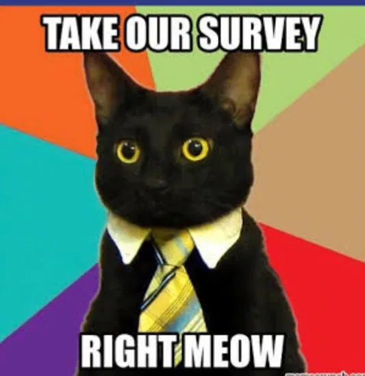 Avatar of SURVEY TIME 