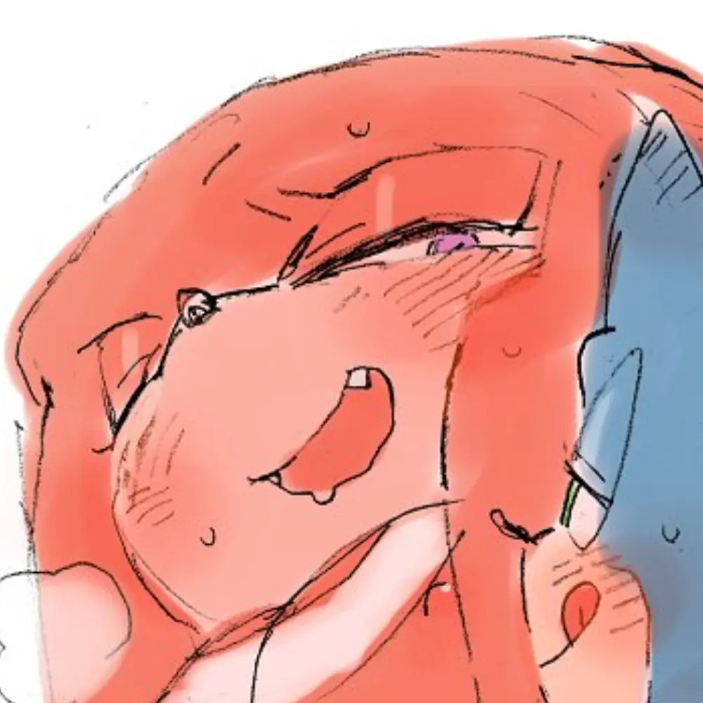 Avatar of ˚₊۶ৎ˙⋆ Knuckles The Echidna