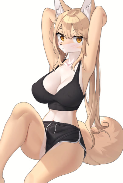 Avatar of Aiko Cute Fox 