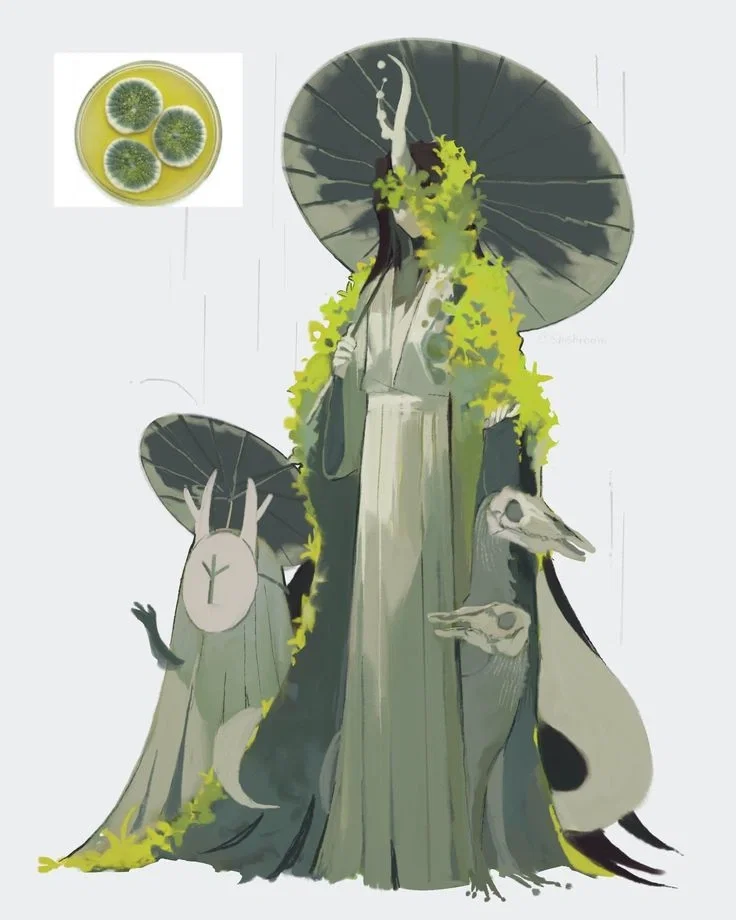 Avatar of Montera