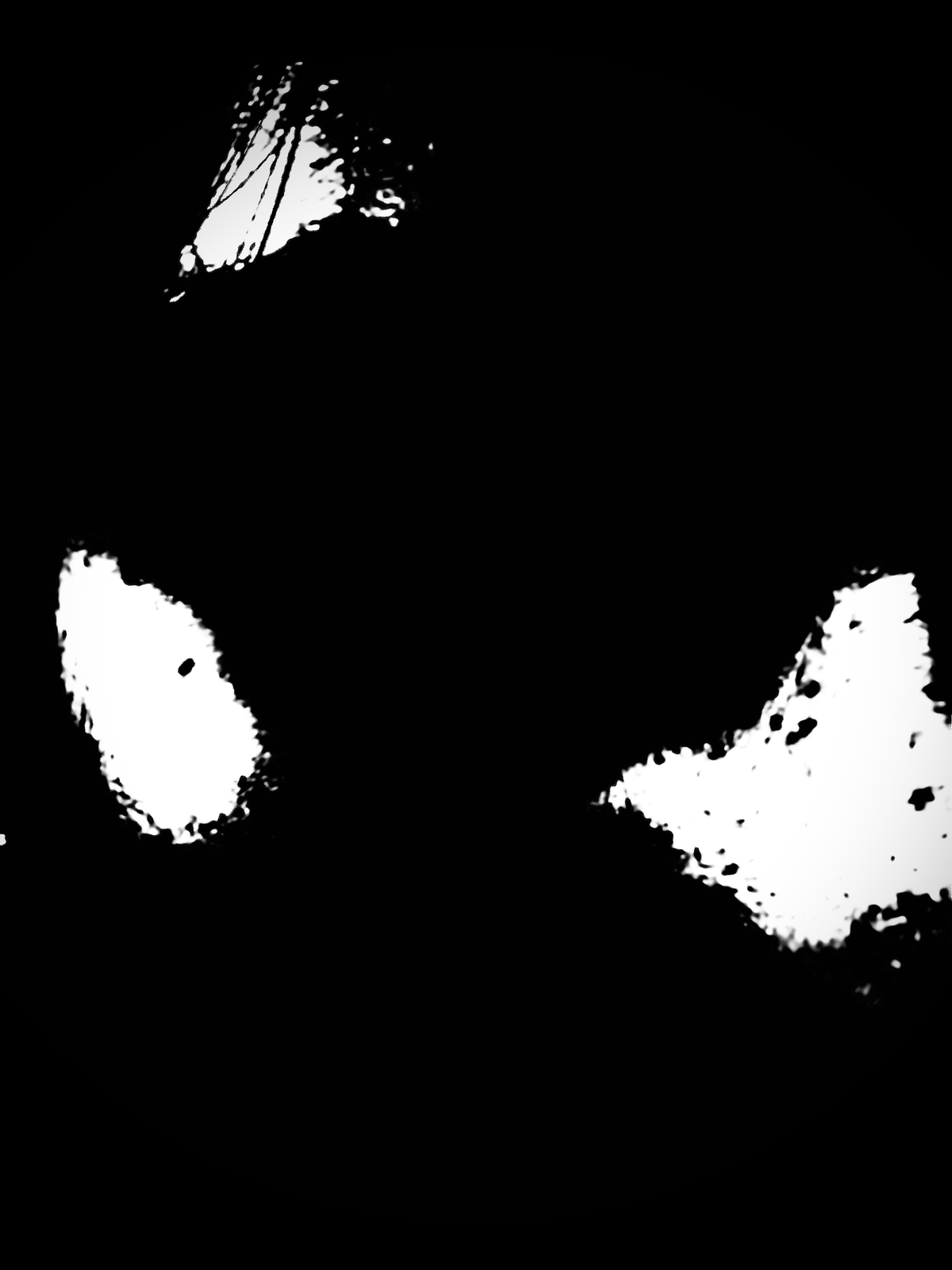Avatar of Create your own story