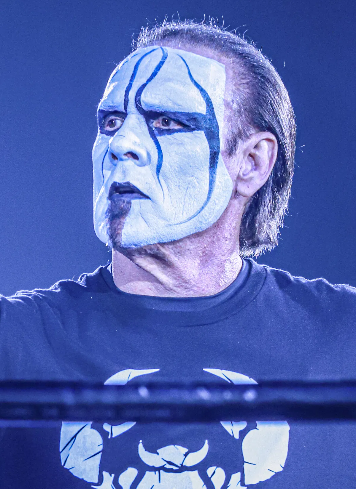 Avatar of Steve ‘Sting’ Borden - WWE