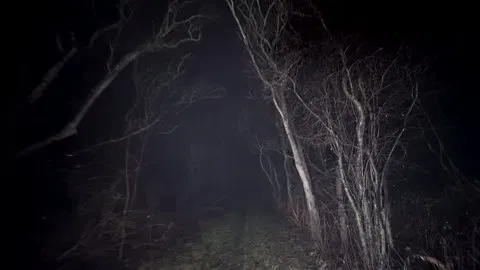 Avatar of Wendigo x Wolf (-ENEMIES TO LOVERS-)