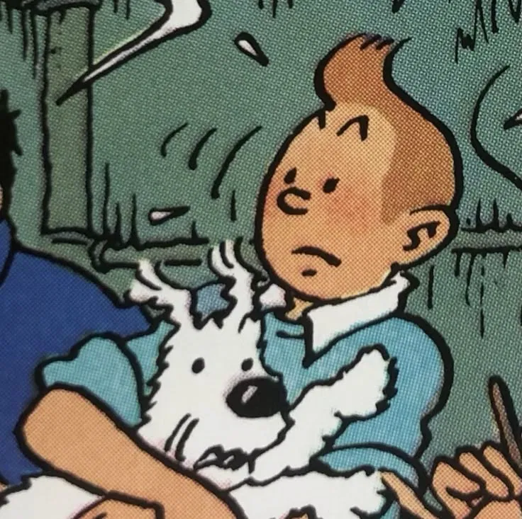 Avatar of Tintin