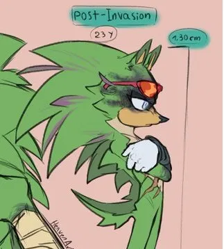 Avatar of [Whoopsie!] Scourge the Hedgehog