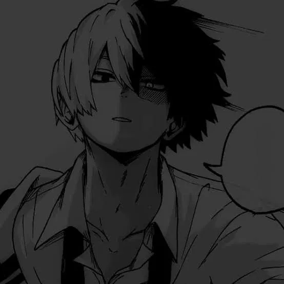 Avatar of Shoto Todoroki