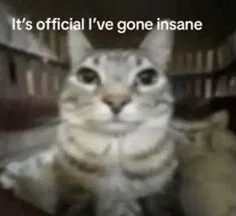 Avatar of MY 9/11, IT'S FUCKING OVER, I REPEAT ITS OVER