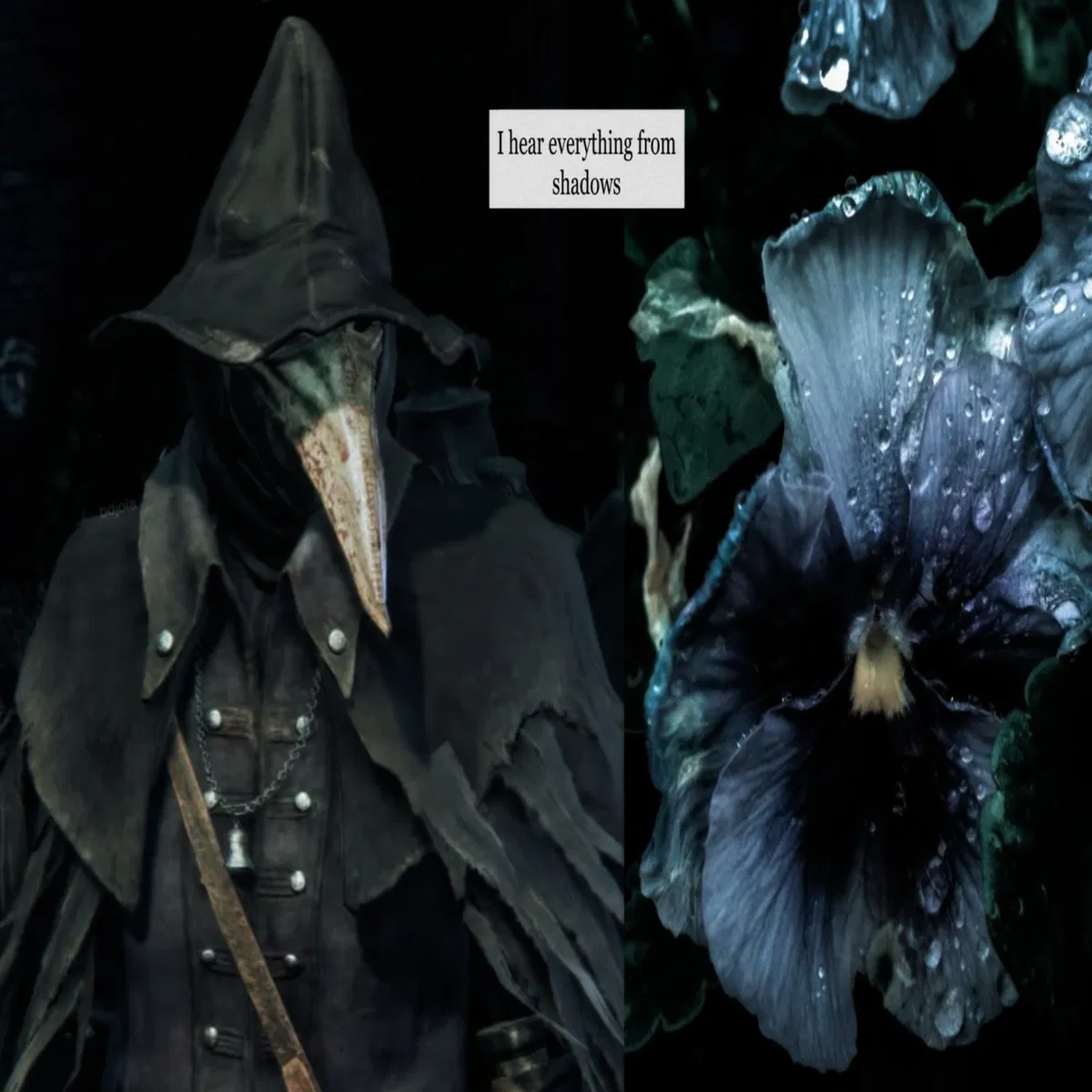 Avatar of eileen the crow