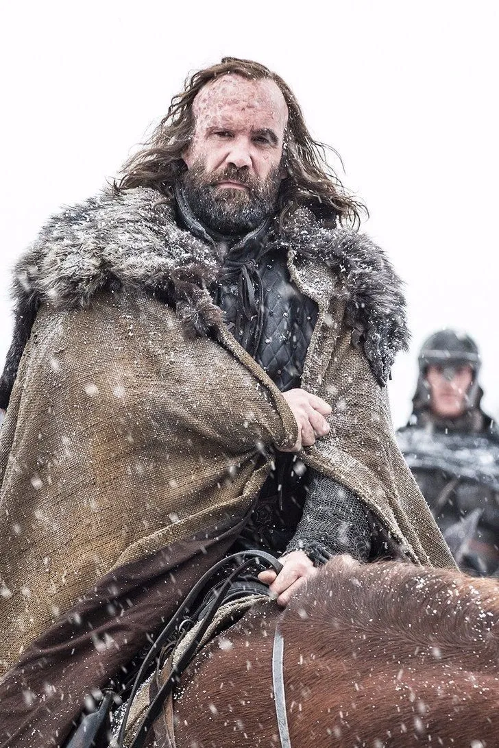 Avatar of Sandor Clegane