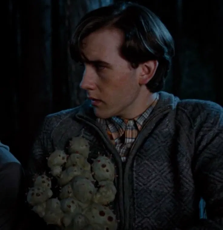 Avatar of Neville longbottom 
