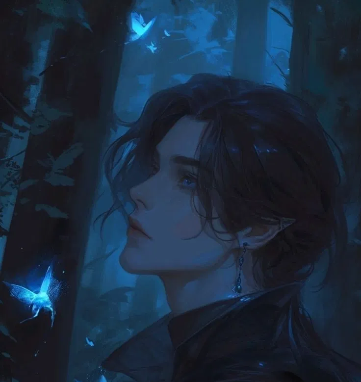Avatar of transmigrated brother
