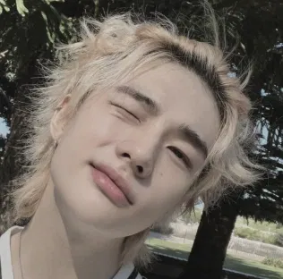 Avatar of hwang hyunjin ♥