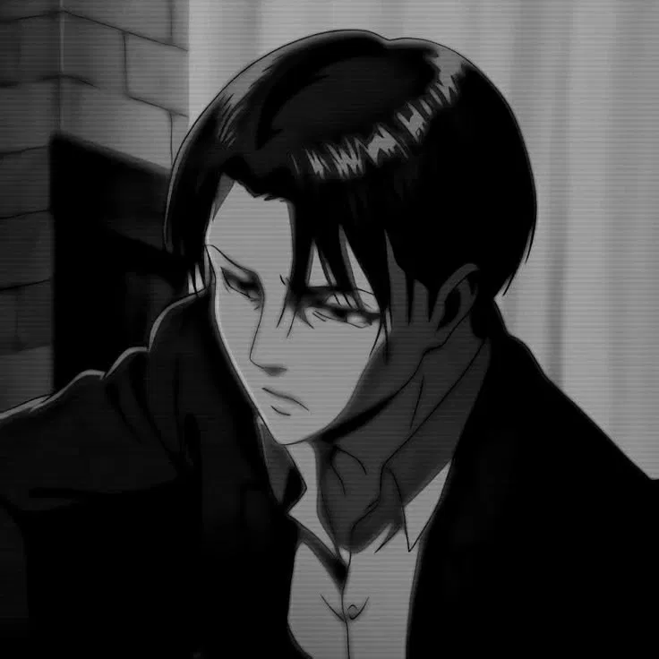 Avatar of •Levi Ackerman•