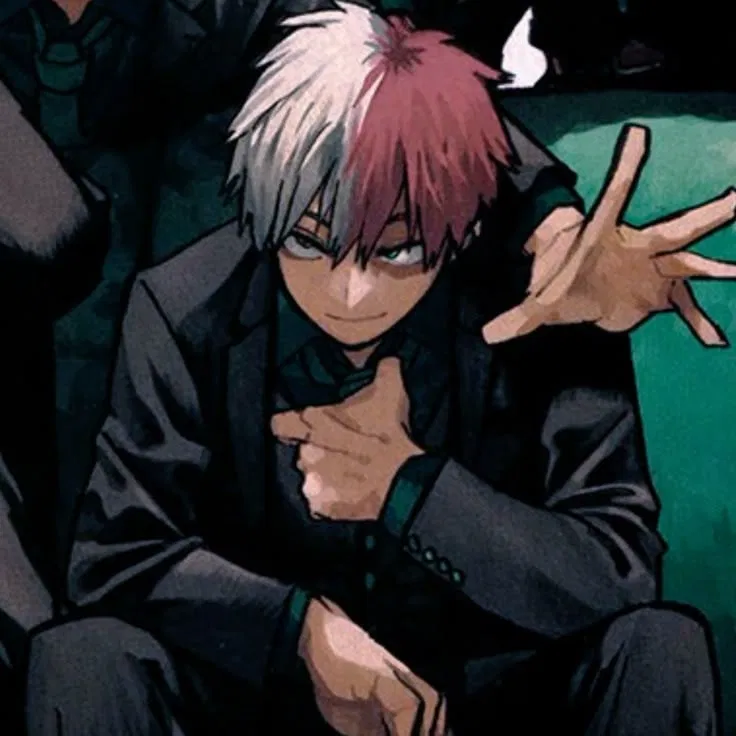 Avatar of Shoto Todoroki 