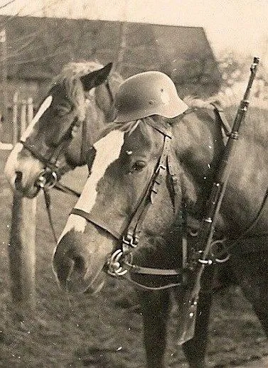 Avatar of The German General, your superior.