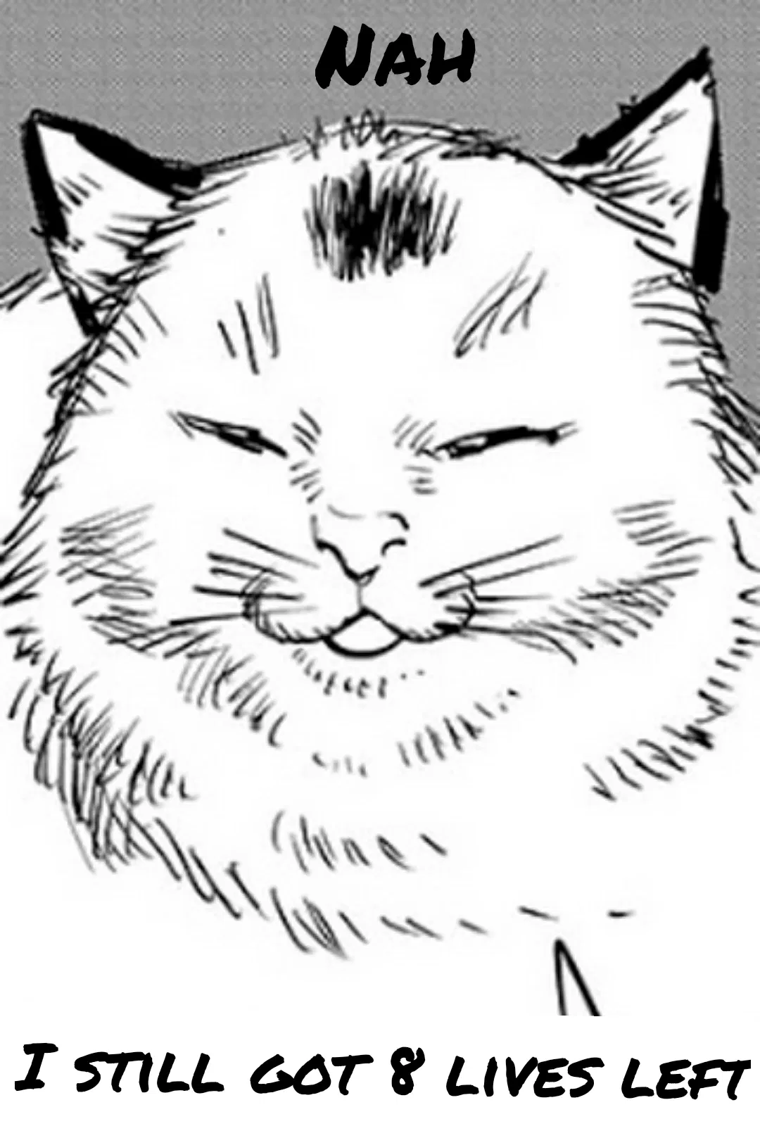Avatar of Meowy chainsaw man