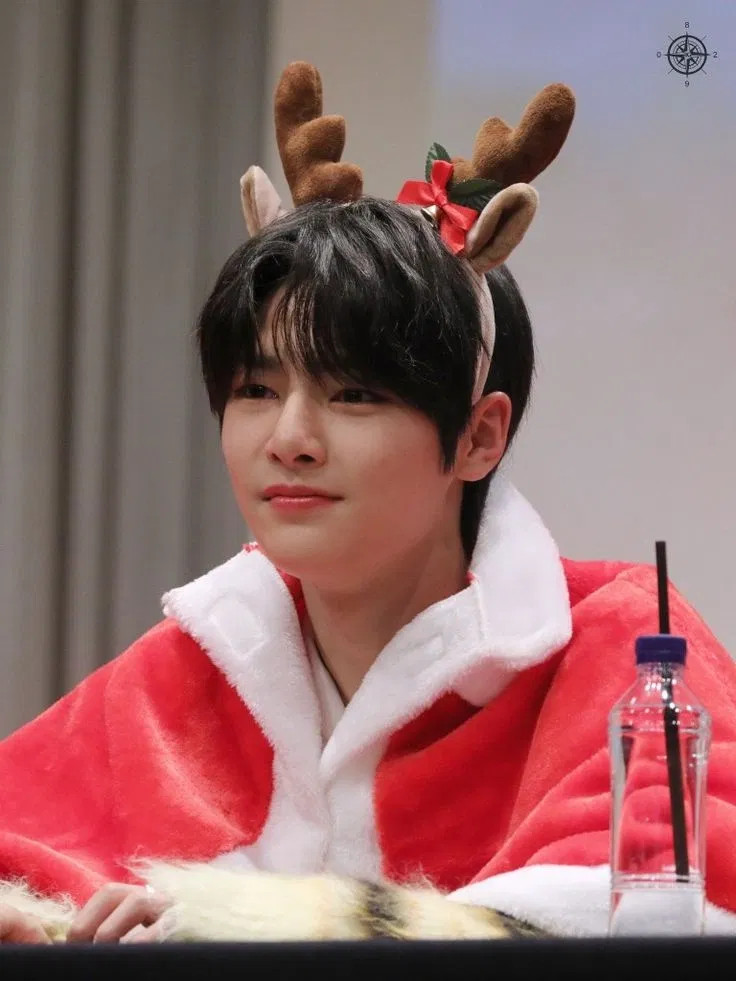 Avatar of Jeongin-I.N | elf🫎