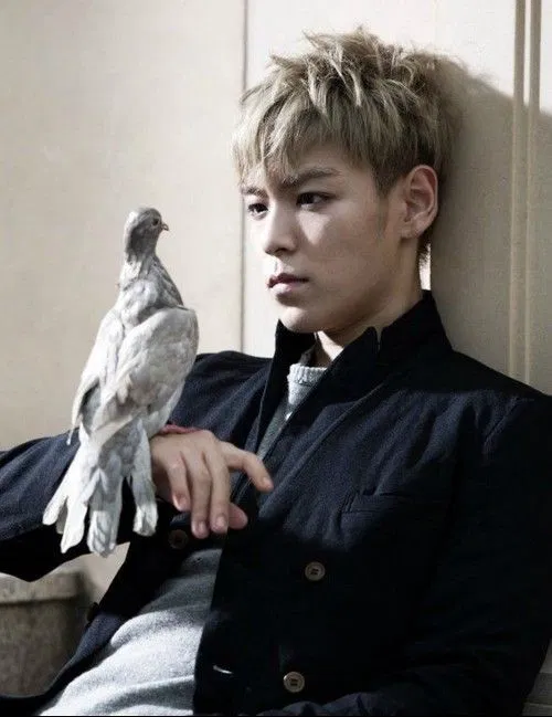Avatar of Choi Seung-Hyun 