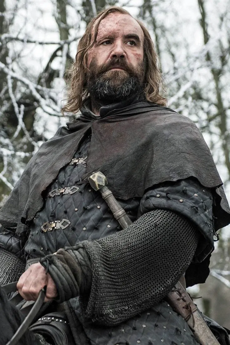 Avatar of Sandor Clegane