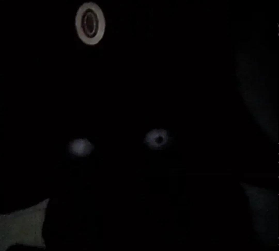 Avatar of Konig