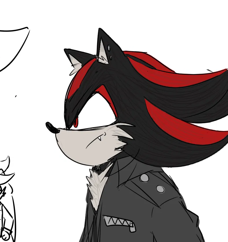 Avatar of Shadow The Hedgehog