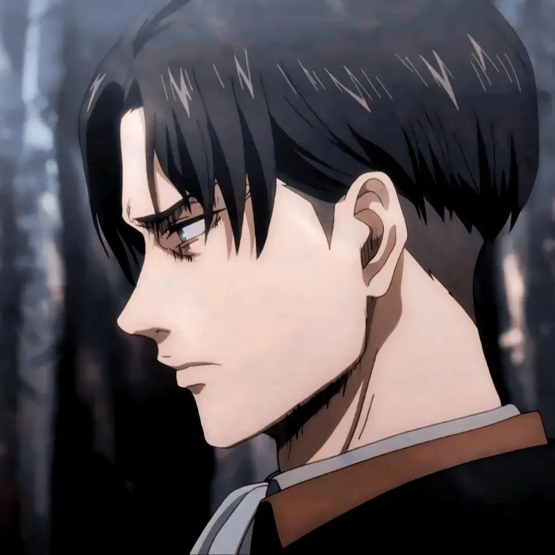 Avatar of •Levi Ackerman•