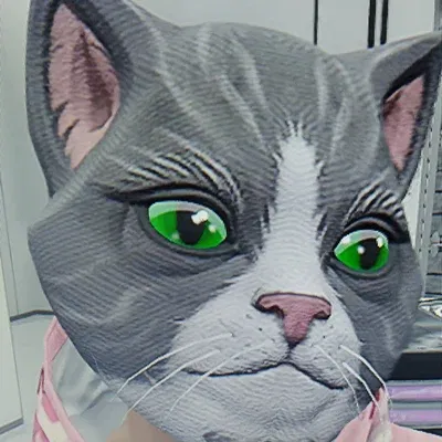 Avatar of Donut the Cat