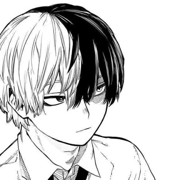 Avatar of ❅ Shoto Todoroki ঌ