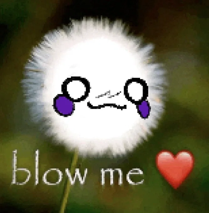 Avatar of Help me find a bot!